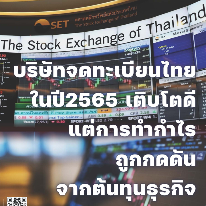 บริษัทจดทะเบียนไทยในปี 2565 เติบโตดี แต่การทำกำไรถูกกดดันจากต้นทุนธุรกิจ